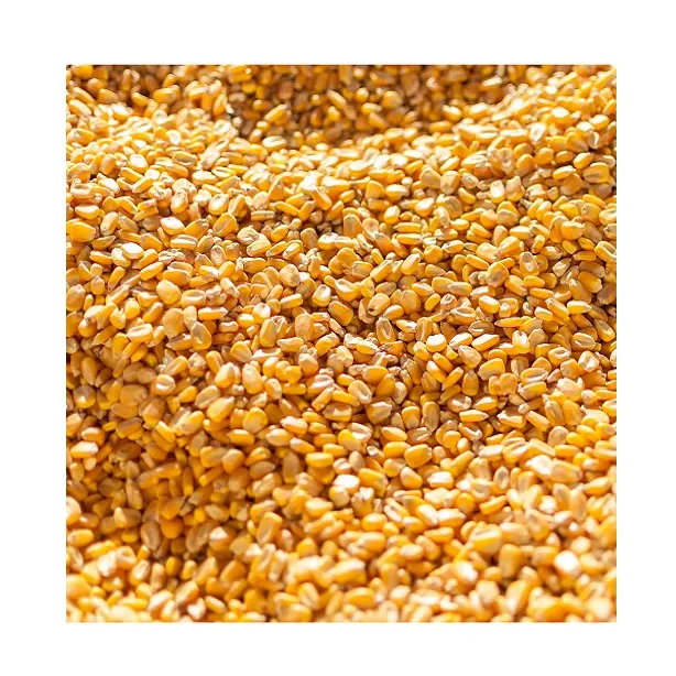 高品質の黄色いトウモロコシのトウモロコシの穀物は動物のためのトウモロコシを供給します