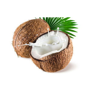 Prix bon marché noix de coco fraîche mature semi décortiquée - Product Image 3