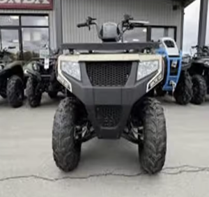 อาร์กติกแคท รุ่นล่าสุด ปี 2024 ----   เครื่องมือช่าง Alterra 300 พร้อมส่ง - Product Image 2