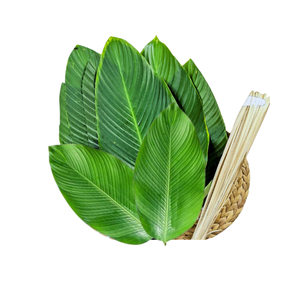 Leaf Dong เป็นมิตรต่อสิ่งแวดล้อมสำหรับห่อ Banh Chung และตกแต่งอาหารสำหรับใส่อาหารทดแทนถุงพลาสติกย่อยสลายได้ - Product Image 6
