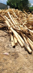 BOIS DE PIN Offre Spéciale, VENTE TOTALE PRODUITS DU BOIS PRIX BON MARCHÉ - Product Image 4