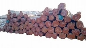 Troncos de madera Variedad diversa de maderas Teca Roble Pino Eucalipto Abeto Palisandro Haya - Product Image 2