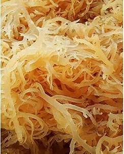 100% Pure Natural Organic Laver Dry Sea Moss Sabor dulce AD Procesado Bolsa de alta calidad Embalaje Buen precio/Serena - Product Image 2