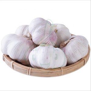 Ajo blanco fresco orgánico 6,0 cm chino Normal blanco puro al por mayor 10kg cartón ajo - Product Image 5