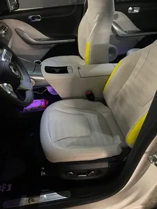 NEAT 2023, # 1 66 kWh, faible kilométrage, transmission automatique, toit ouvrant panoramique, feux LED, feux diurnes LED - Product Image 6