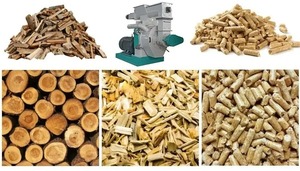 เม็ดไม้ขนาด6-8มม. ผลิตภัณฑ์จากผู้ผลิต - Product Image 5