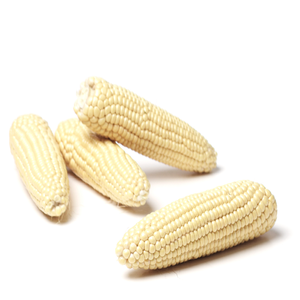 Producto agrícola brasileño Grano a granel Maíz seco blanco Kernal Maíz seco Maíz blanco seco Mejor precio En stock para la venta - Product Image 2
