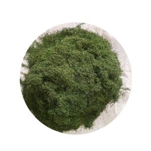 Hierbas y especias de eneldo seco crudo de grado premium Producción egipcia Nuevo cultivo Color verde Aditivos de grado alimenticio - Product Image 2