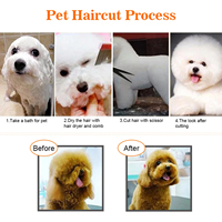 Professionnel 7 pièces Kit de ciseaux de toilettage pour animaux de compagnie en acier inoxydable chien et chat ciseaux de coiffure ensemble boîte emballée outils de coupe de cheveux amincissants