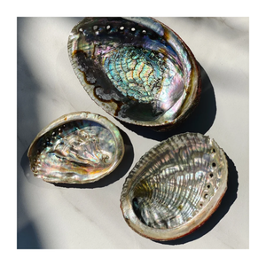 Natural Vietnam Abalone Shell Ocean <b>Inspired</b> Iridescent Polished Gemstone for <b>Jewelry</b> DIY and Creative Crafts - Product Image 1