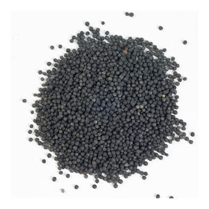 Distributeur en gros de colza offrant un prix réduit pour l'approvisionnement mondial - Product Image 4