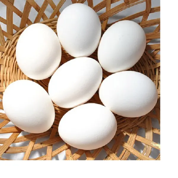 Groothandel Leverancier Van Verse Eieren Bruine En Witte Kippeneieren