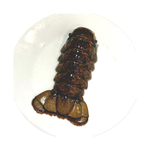 กุ้งมังกรแคนาดาแบบทั้งตัว แช่แข็งแบบ UHP พร้อมกระบวนการ BQF คุณภาพสูง จัดส่งจำนวนมาก - Product Image 5