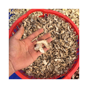 Jengibre fresco Jengibre natural jengibre seco exportación con alta calidad precio de fábrica Buen precio especias individuales - Product Image 2