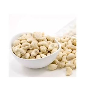 Anacardos a granel de primera calidad, frescos, crujientes y nutritivos, ideales para refrigerios saludables y suministro al por mayor. - Product Image 6