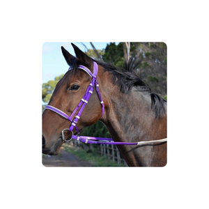 Brida de PVC Negra, Roja, Rosa, Morada, Verde, Marrón, Naranja, Blanca, Amarilla, Efímera - Product Image 6