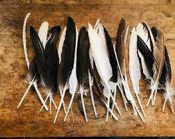 Plumas de Pato Suaves, Limpias y con Color Mejorado para Sombrerería, Fabricación de Joyas y Proyectos de Manualidades - Product Image 3