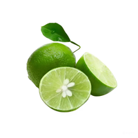 Premium Verse Louche Limoen Sappig, Pittig En Volledig Natuurlijk, Zorgvuldig Uitgekozen, Boerderijverse Limoenen Voor Export [K]