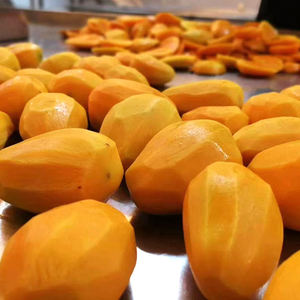 Cortes de Mango Dorado - Mango Dorado Tropical - Cubos de Mango Congelados - Trozos de Mango IQF - Cubos de Mango para Smoothie - Product Image 2