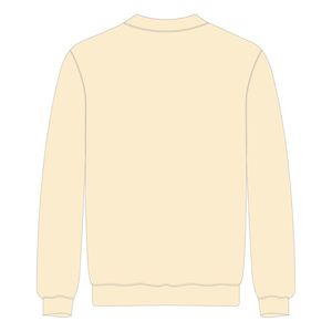 HBCU Educated <b>Neutral</b> DST Crewneck Sweatshirt Chenille Embroidery Greek Sorority Delta Divine Nine Collegiate Fashion Sweater - Product Image 3