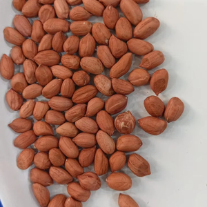 Độ tinh khiết cao hữu cơ khô phong cách nguyên liệu chế biến đậu phộng xuất khẩu cho bánh kẹo và sản xuất Bơ đậu phộng-Cung cấp bán buôn - Product Image 2