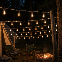 Guirlande lumineuse LED S14 de 10 m avec 20 ampoules, fil en caoutchouc noir, pour extérieur, jardin, patio - Fournisseur en gros
