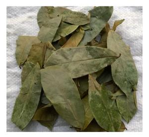 Productos naturales de Hojas de Guanábana en Vietnam: baratos y de alta calidad tienen muchos usos inesperados para exportar a granel - Product Image 1