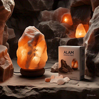Lampe de sel de l'Himalaya rose, biologique et naturelle, certifiée HACCP, sculptée avec des motifs animaux, floraux, croix, Feng Shui et religieux, respectueuse de l'environnement
