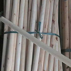 Gran cantidad de palos de madera redondos para la producción agrícola y la fabricación de muebles - Product Image 3