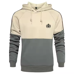 100% coton confortable poids lourd à capuche haute qualité goutte épaule séchage rapide broderie impression personnalisée Logo motif solide - Product Image 1