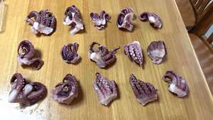 أطعمة بحرية صينية لذيذة، ذراع حبار برأس، ذراع حبار صغير، طعام بحري للبيع، مصدر صيني - Product Image 6