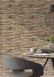 Azulejos de Porcelana de Alta Gama para Elevación Residencial, con Acabado Mate de 300x600 mm y Textura Profunda - Product Image 1