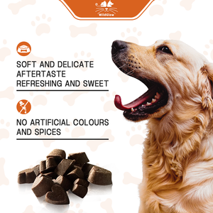 Sindirim enzimleri ile hiçbir Poo yumuşak çiğniyor Coprophagia dışkı köpekler için caydırıcı yeme köpek Eating yeme önlemek - Product Image 2