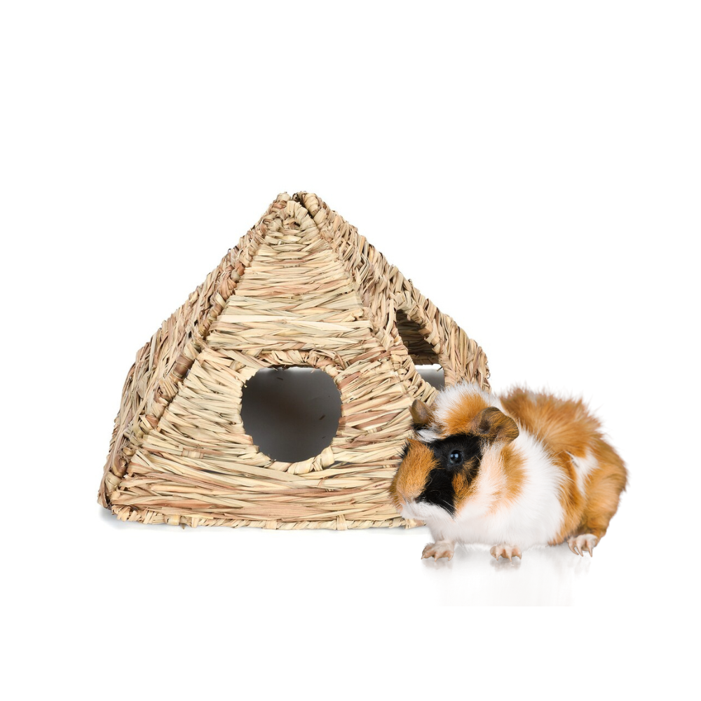 Guinea Pig Hutches and Runs Outdoor Indoor Homes