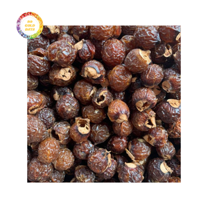 Best Quality Soap Nuts with Strong Cleaning Power and Affordable Bulk Price for International Buyers - Product Image 2