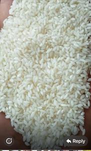 Arroz Govind Bhog de Calidad de Exportación con Certificación FSSAI/ISO, Pureza del 99%+, Excelente Aroma y Sabor, 24 Meses de Duración para Uso Tradicional - Product Image 2