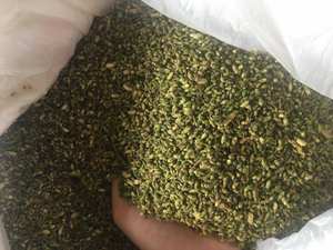 Fleurs de pagode en vrac, boutons de fleurs séchés propres SOPHORA JAPONICA pour la transformation à base de plantes, prix d'usine, fournisseur - Product Image 5