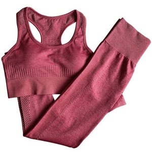 Conjunto de Yoga Deportivo para Mujer, Personalizado, Otoñal, Sin Costuras, Transpirable, Estilo Urbano, Cómodo, Suave, Sujetador Deportivo y Leggings Ligeros para Gimnasio - Product Image 3