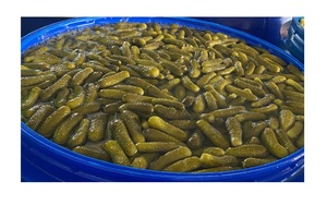 Concombres marinés OEM de haute qualité du Vietnam avec le prix le moins cher-Food Products Hot Selling - Product Image 4