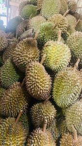 Calidad asegurada Sabroso 100% Fresh Monthong Durian Fruit disponible a un precio razonable del principal exportador - Product Image 5