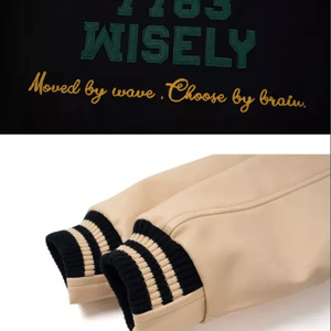 Chaqueta Bomber de Béisbol para Hombre, Estilo Urbano, Invierno, con Bordado Personalizado, Ecológica, Colores y Logos Personalizables, en Oferta - Product Image 5