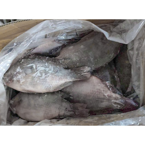 Tilapia Congelada al por Mayor |   Tilapia China a Precio Competitivo, Adecuada para Contratos de Suministro a Largo Plazo - Product Image 4