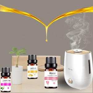 Diffuseur d'huiles essentielles en bois en forme de citrouille Confidante Hotel Hamidi, bâtonnets parfumés aux fruits, huile parfumée personnalisée - Product Image 4