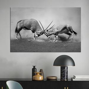 Arte en lienzo de la vida silvestre africana monocromática: Lucha de antílopes orix, lienzo estirado - Product Image 1