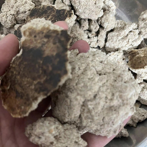 MINA +84325608680/ MÁS VENDIDO/ EXPORTADOR VIETNAMITA SUMINISTRA TARTA DE COPRA - Product Image 2