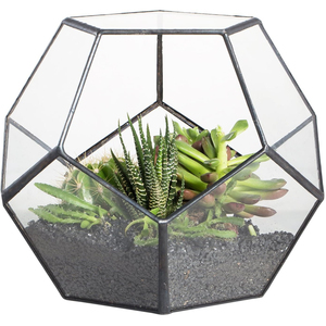 Meilleure qualité d'exportation nouveauté vase en verre enduit noir terrarium géométrique décoration de table jardin mousse taille personnalisée décorer - Product Image 2