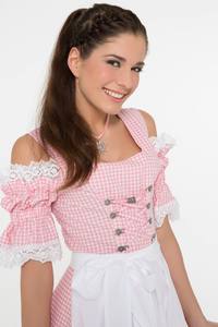 Meilleur choix nouvelle arrivée de mode traditionnelle allemande Oktoberfest Bavière Trachten mode Mini Dirndl robes - Product Image 3
