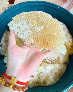 TOP VENTAS MIEL BLANCA AL POR MAYOR SUMINISTRO A GRANEL PRODUCTO DE EXPORTACIÓN PURA NATURAL DE CALIDAD PREMIUM OFERTA CALIENTE - Product Image 5