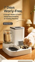 Distributeur d'eau automatique pour chat en céramique 2 en 1, bol d'alimentation pour animaux de compagnie, séparation sèche et humide pour chats d'intérieur