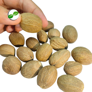 Noix de muscade indonésienne en gros, qualité ABCD - Product Image 5